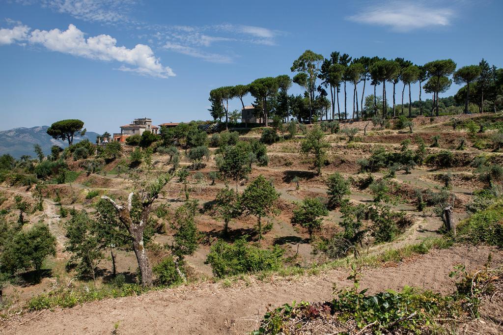 Agriturismo La Molara Сесса-Аурунка Экстерьер фото