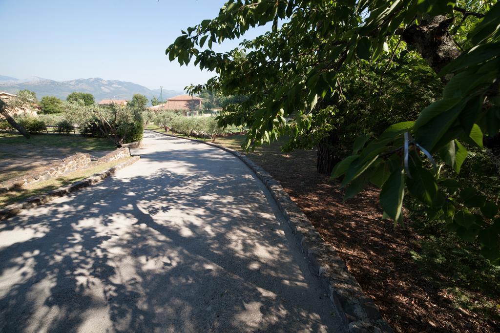 Agriturismo La Molara Сесса-Аурунка Экстерьер фото